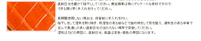 リアルクロコお手入れ