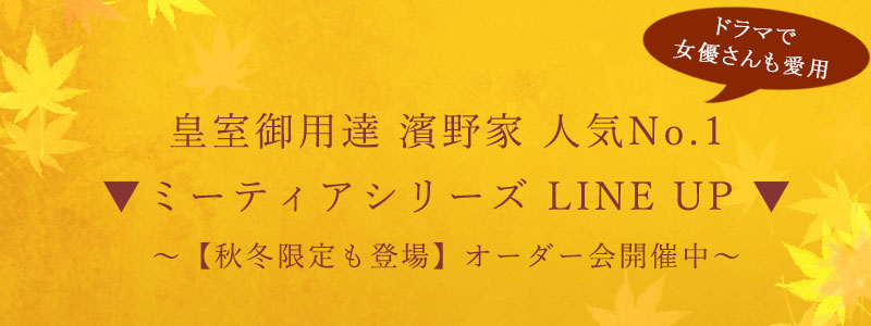 ミーティアフッター秋バナー