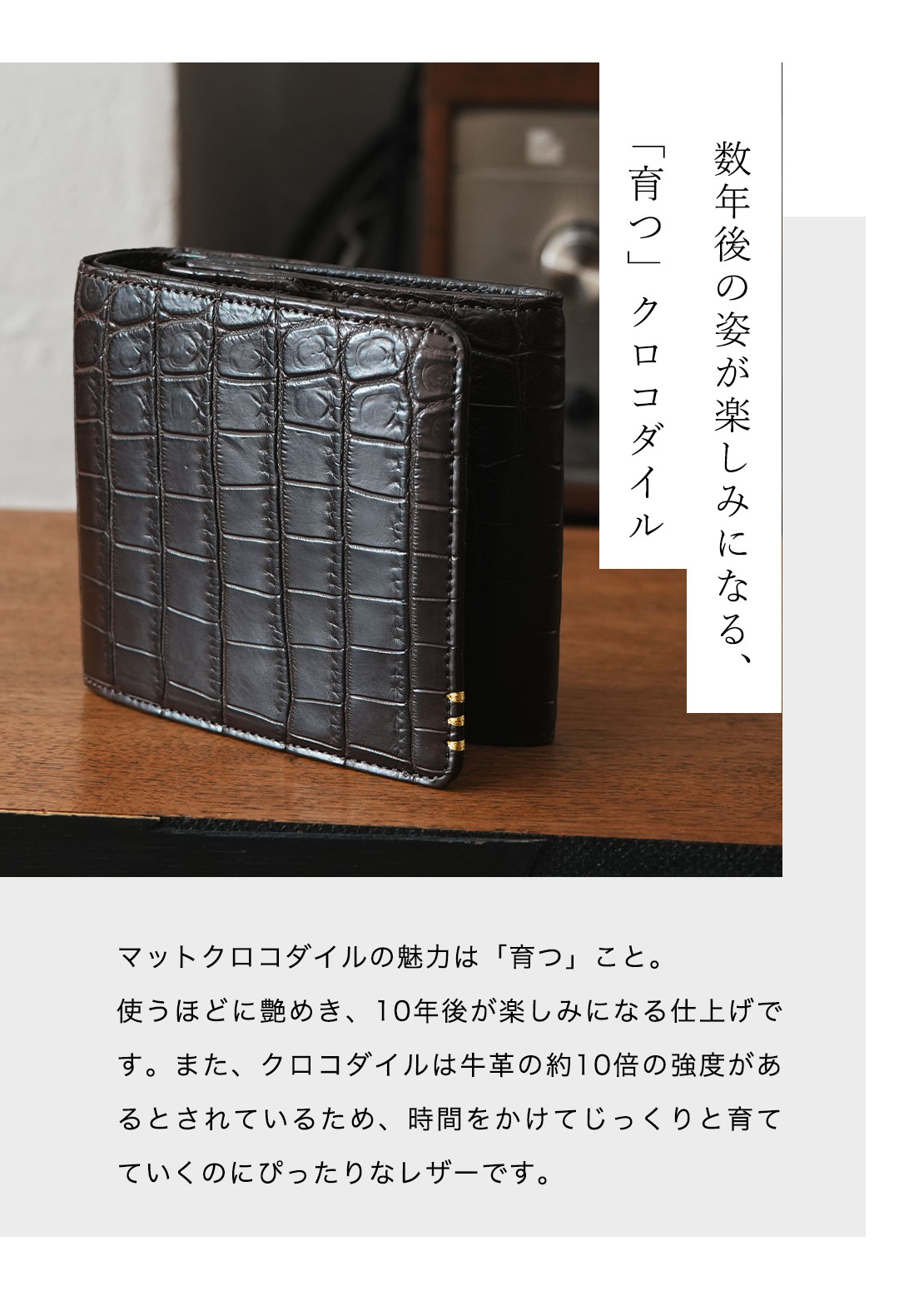 マットクロコダイル特集 | 皇室御用達 傳濱野はんどばっぐ本店【公式