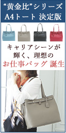 ミーティアエラ