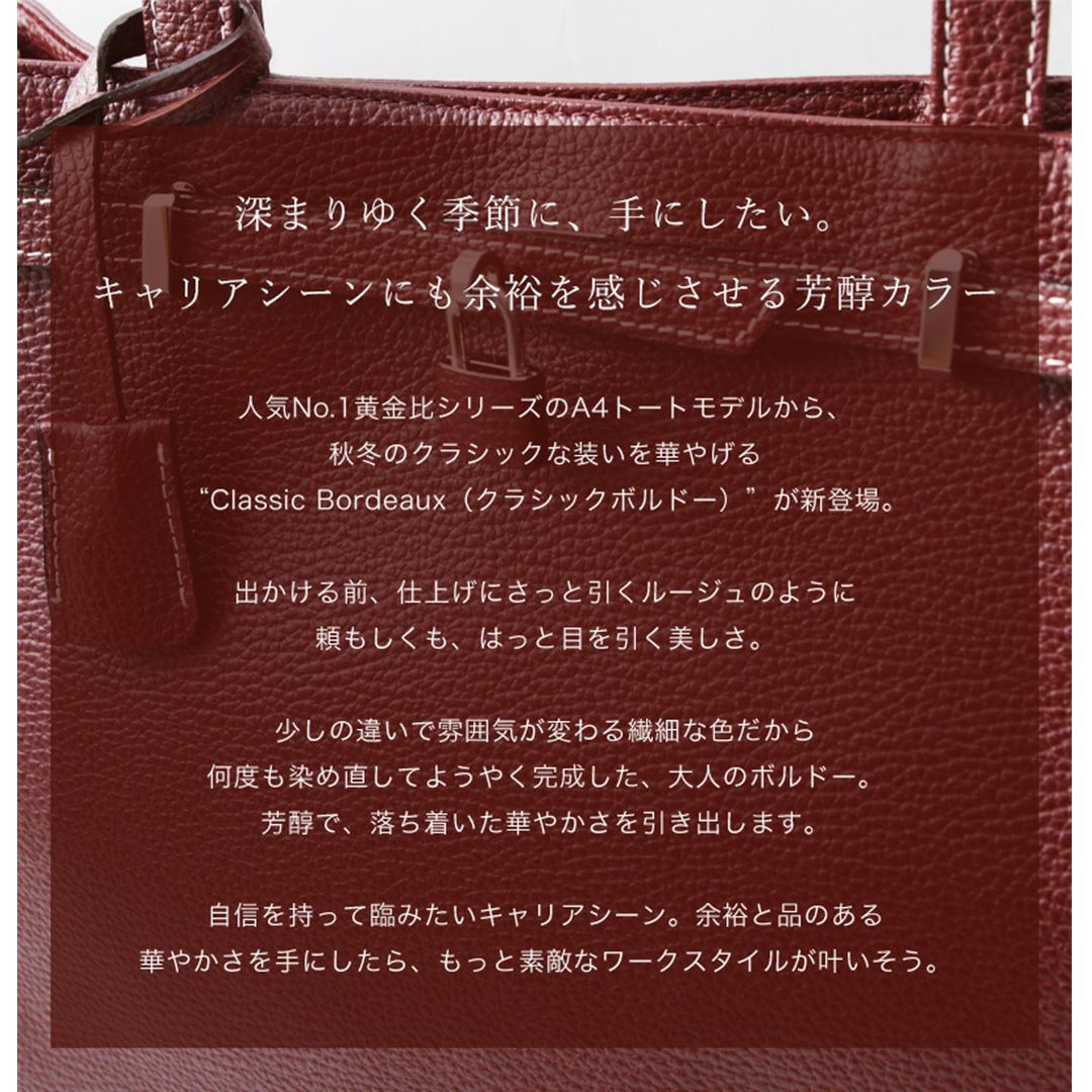 傳濱野】《WEB本店限定カラー》キャリアシーンが輝く理想のお仕事